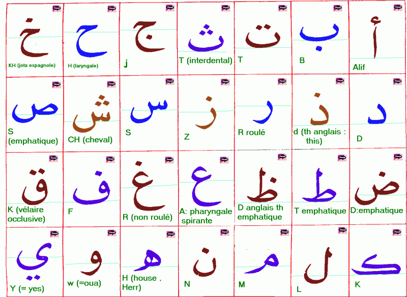 Cours de langue Arabe pour les étudiants